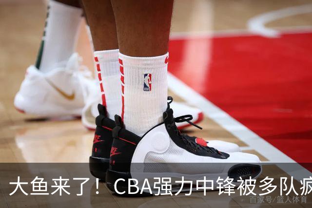 大鱼来了！CBA强力中锋被多队疯抢，或加盟广东队驰援杜锋？