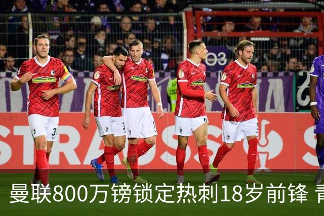 曼联800万镑锁定热刺18岁前锋 青年欧冠7场7球复制海文式签约