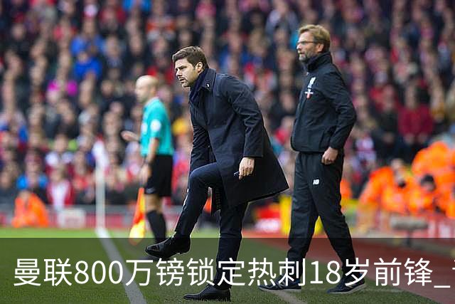 曼联800万镑锁定热刺18岁前锋 青年欧冠7场7球复制海文式签约
