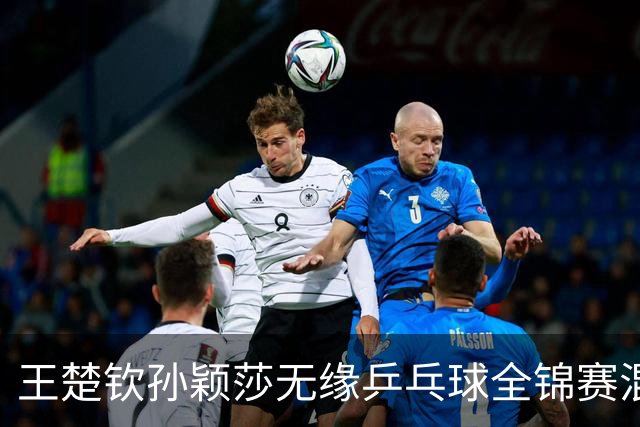 王楚钦/孙颖莎无缘乒乓球全锦赛混双决赛