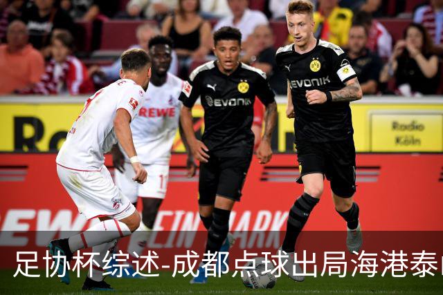 足协杯综述-成都点球出局海港泰山晋级 申花大胜