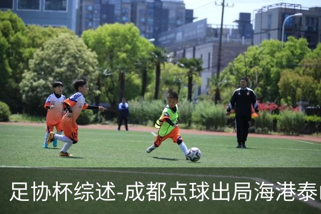 足协杯综述-成都点球出局海港泰山晋级 申花大胜